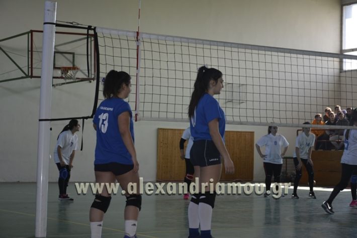 volley_1o-alexandreias-melikis2018 (83)